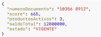 RESPUESTA INFO BUROS