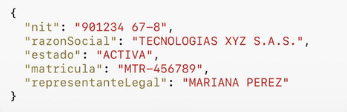 RESPUESTA RUES SERVICIO WEB IDENTICA FLOW